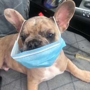 Meet your Posher, Angie